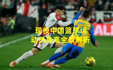 现役中国篮球运动员身高全景解析